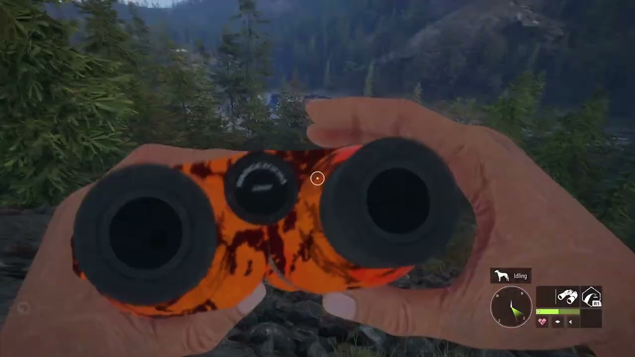 Hunting in the mountains