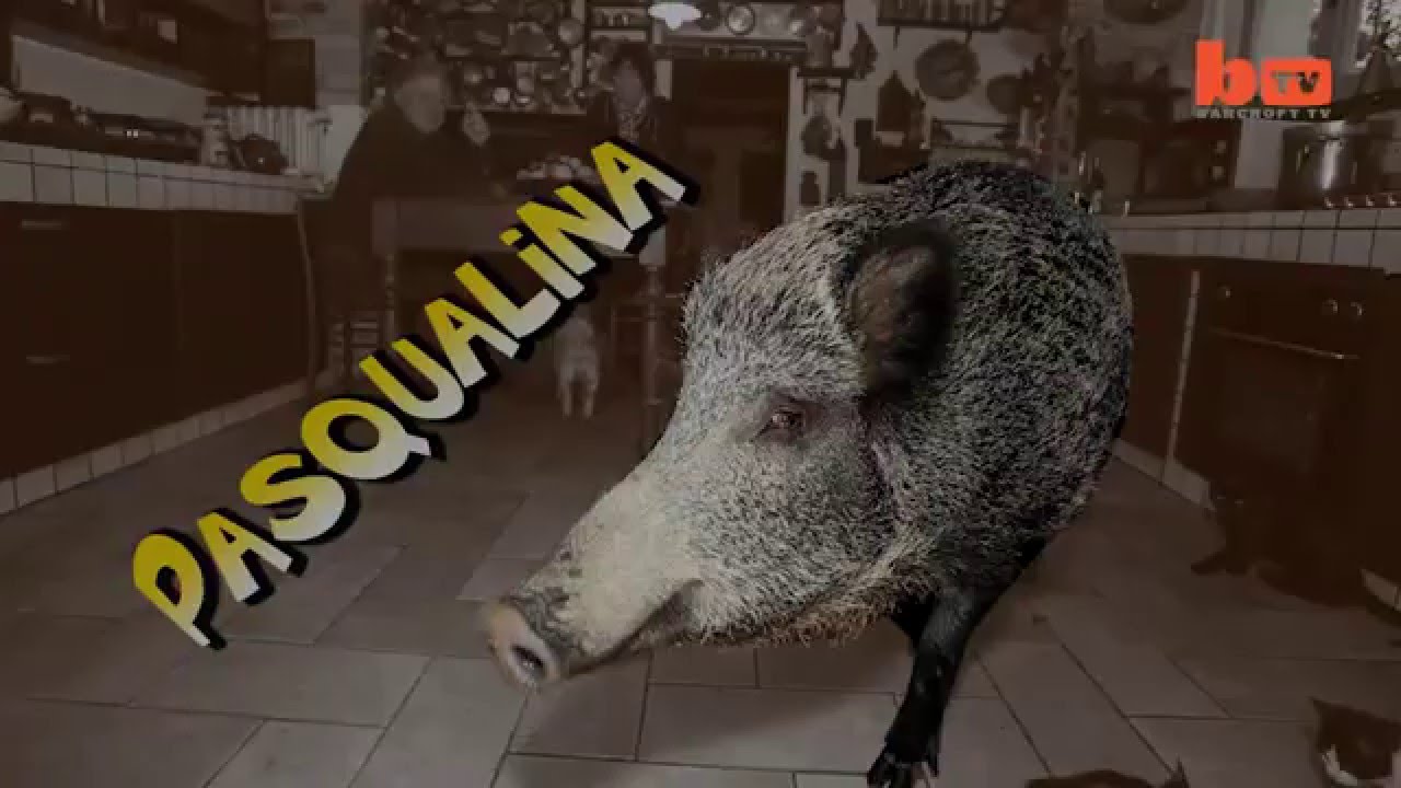 Pasqualina - Wild boar pet short story