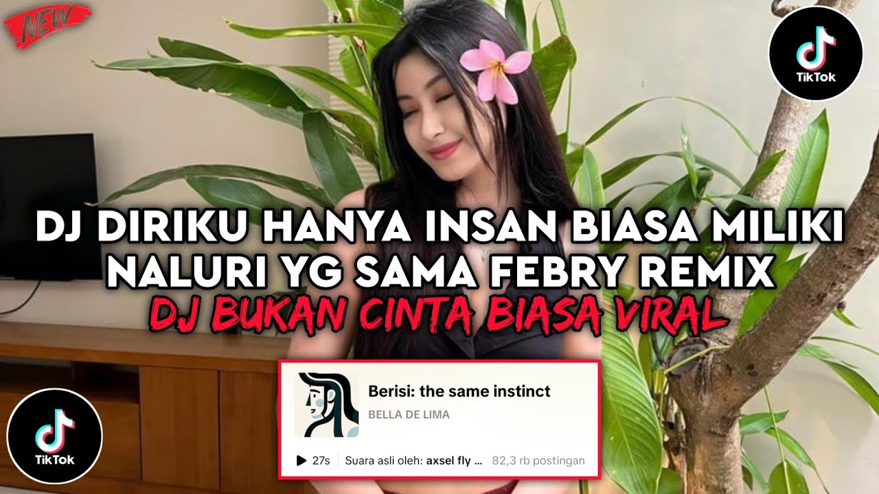 DJ DIRIKU INI HANYA INSAN BIASA NEW REMIX | DJ BUKAN CINTA BIASA FEBRY REMIX VIRAL TIKTOK 2026
