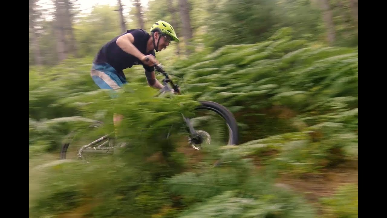 MUD//ROOTS//ROCKS - Sam Stanfield