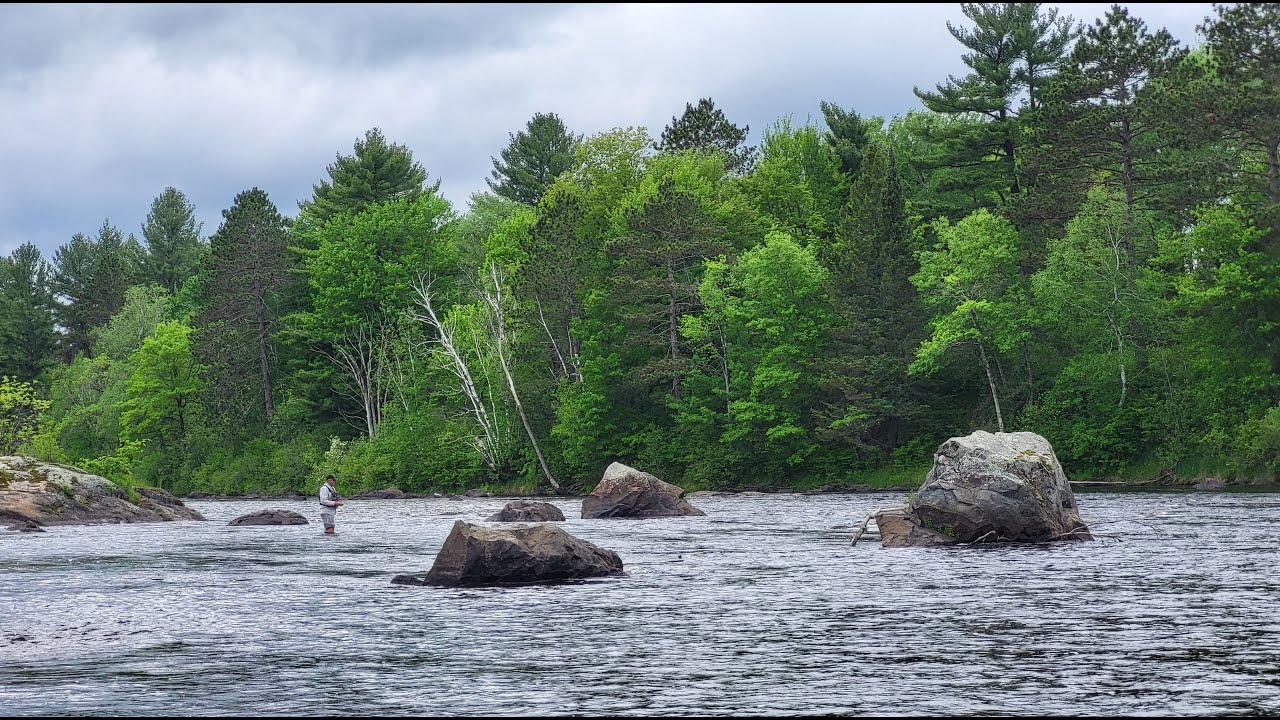 Up North Spring 2024