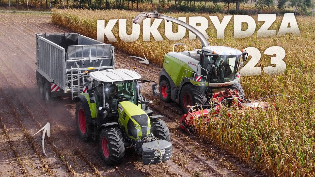 ☆Kukurydza Na Kiszonkę 2023☆UR Kurlapski☆