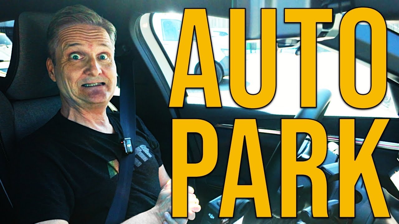Automatisk parkering i Renault Megane - g&aring;r det uden buler?
