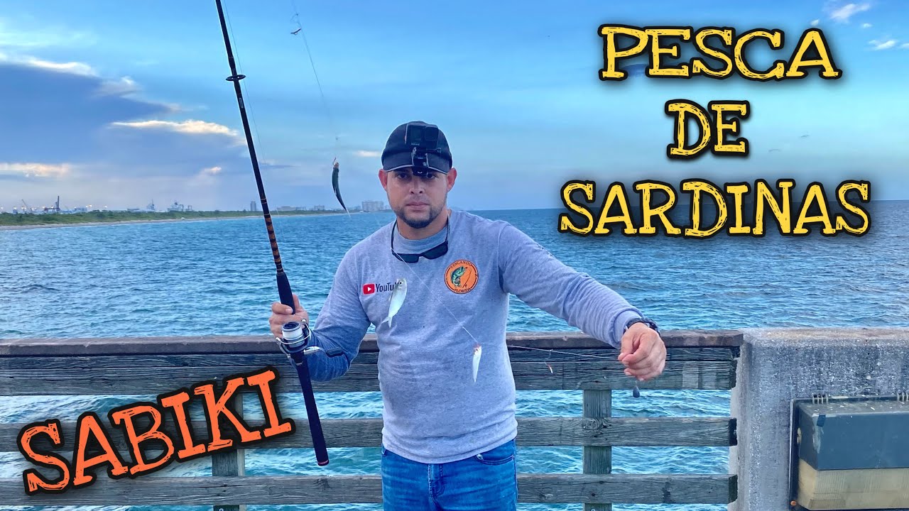 Pesca de Sardinas con Sabiki desde un Puente. DANIA BEACH PIER!...