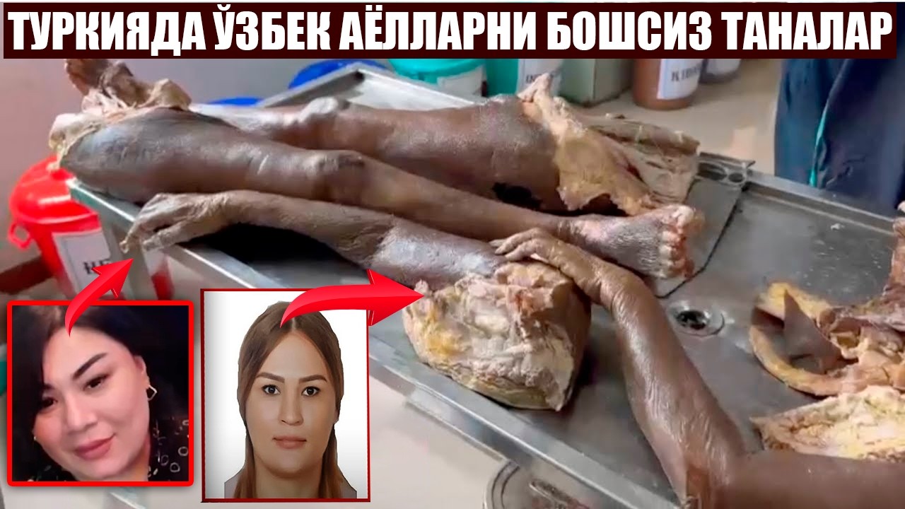 ТУРКИЯДА ДАҲШАТ! БОШИ КЕСИЛГАН АЁЛНИНГ ШЕРИГИ ҲАМ ЙЎҚОЛДИ — ҚОТИЛЛАР УШЛАНДИМИ?