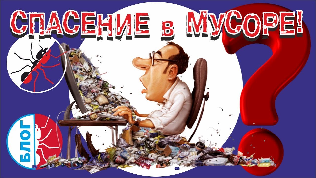 Муравьи Messor structor. МУСОР КАК СПАСЕНИЕ!