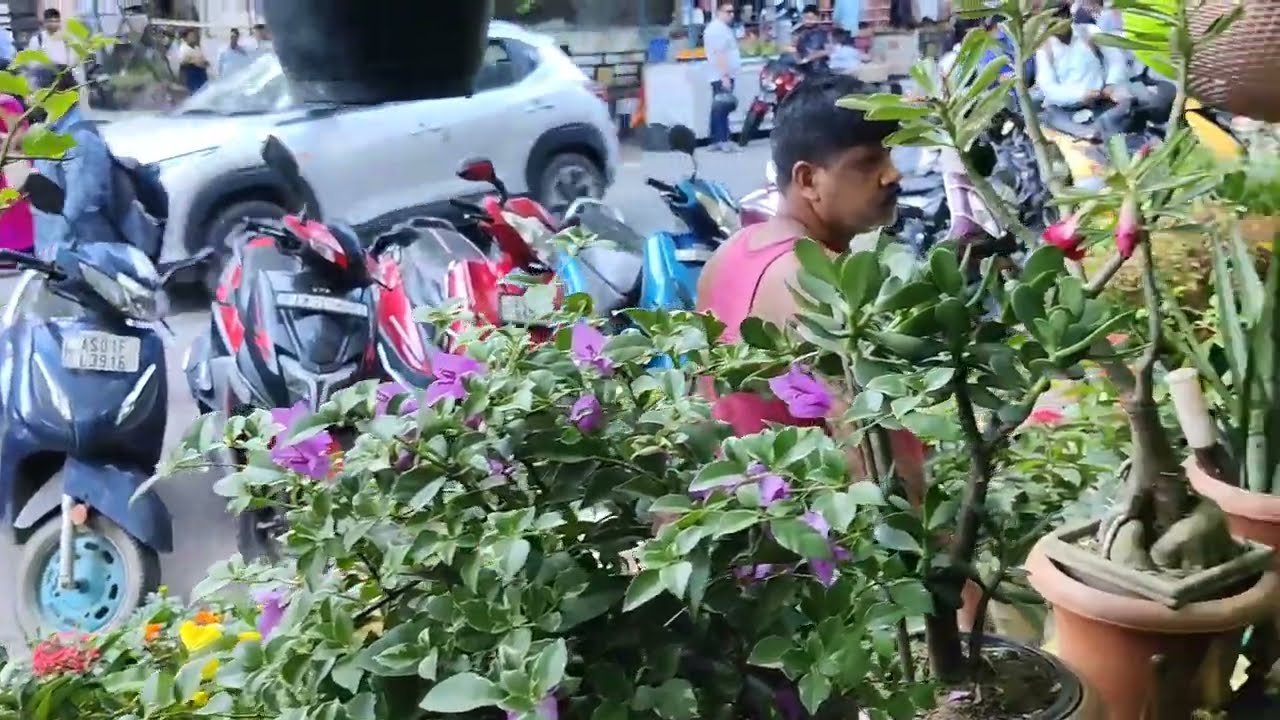 Famous Flower Market in Guwahati (Kachari ,near Nehru Park,Post office  )@Haorani @sktajou7850 