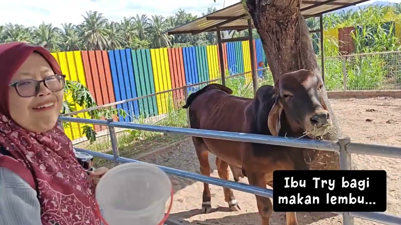 012026 Petting Zoo kat Baling, Kedah. 