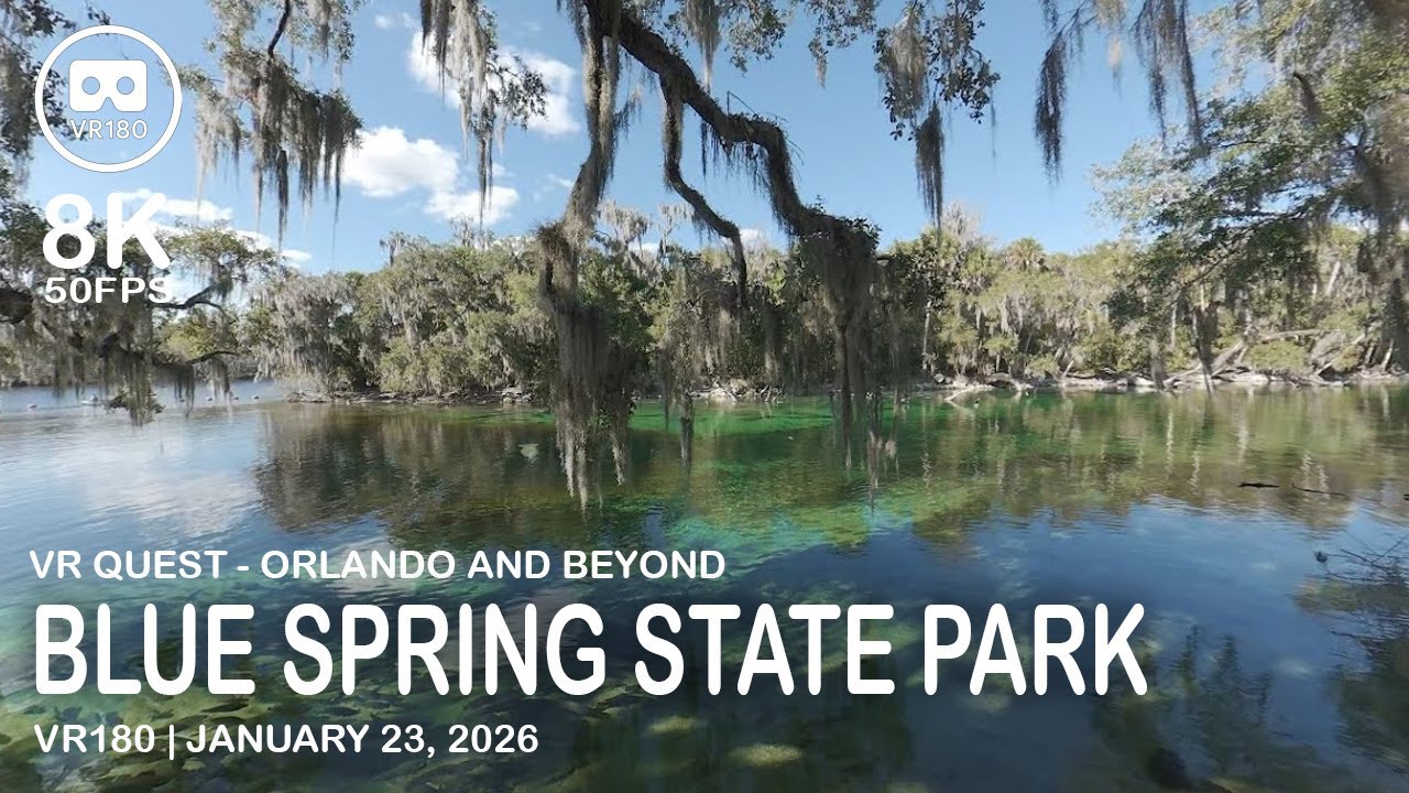 Blue Spring State Park Manatees - VR180 8K 50 FPS