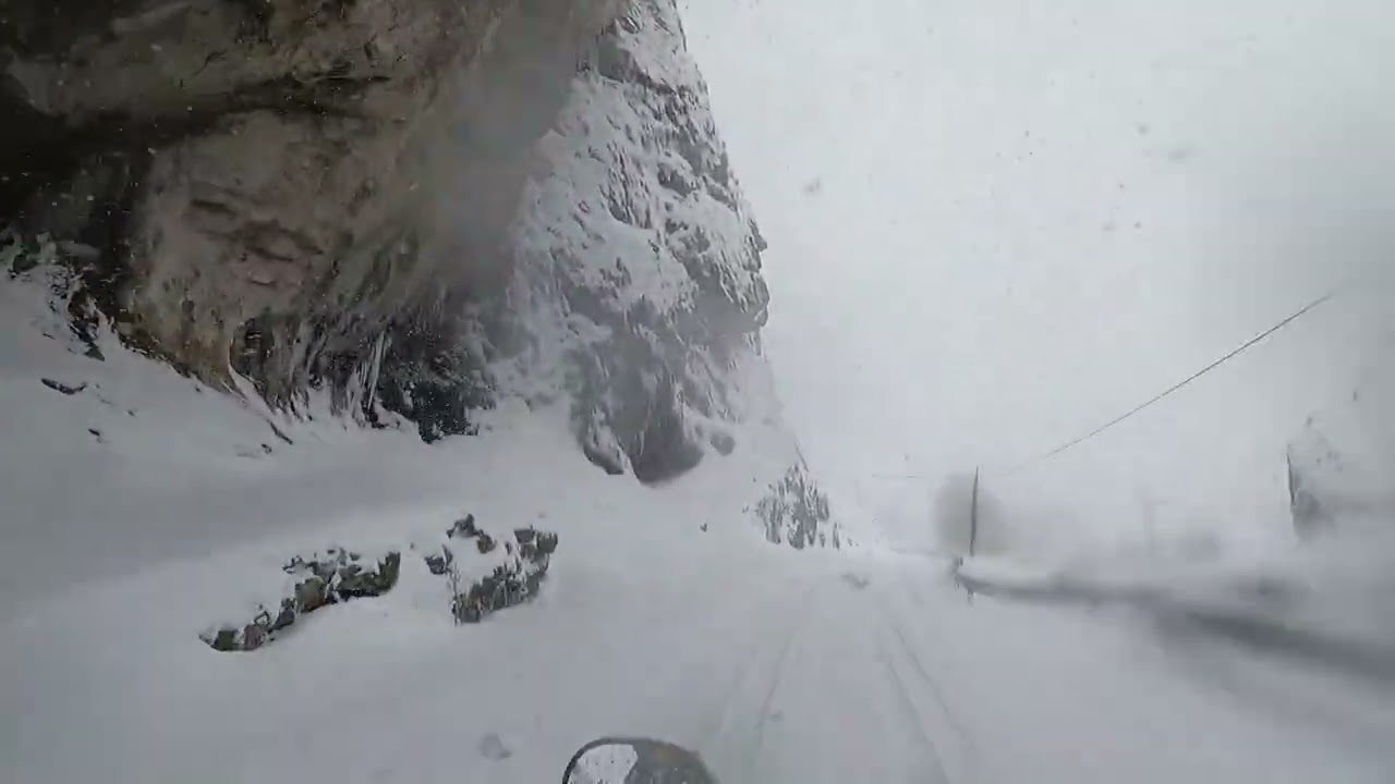 CARMENES NEVADO 2021