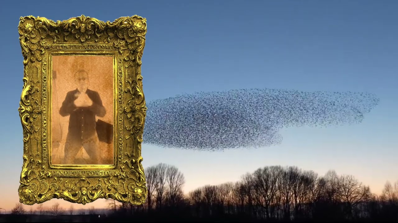 Videoles 4: the secret song