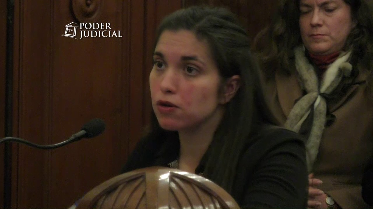 Alegatos por recurso de nulidad caso Nabila Rifo. Corte Suprema 20 junio 2017 (2)