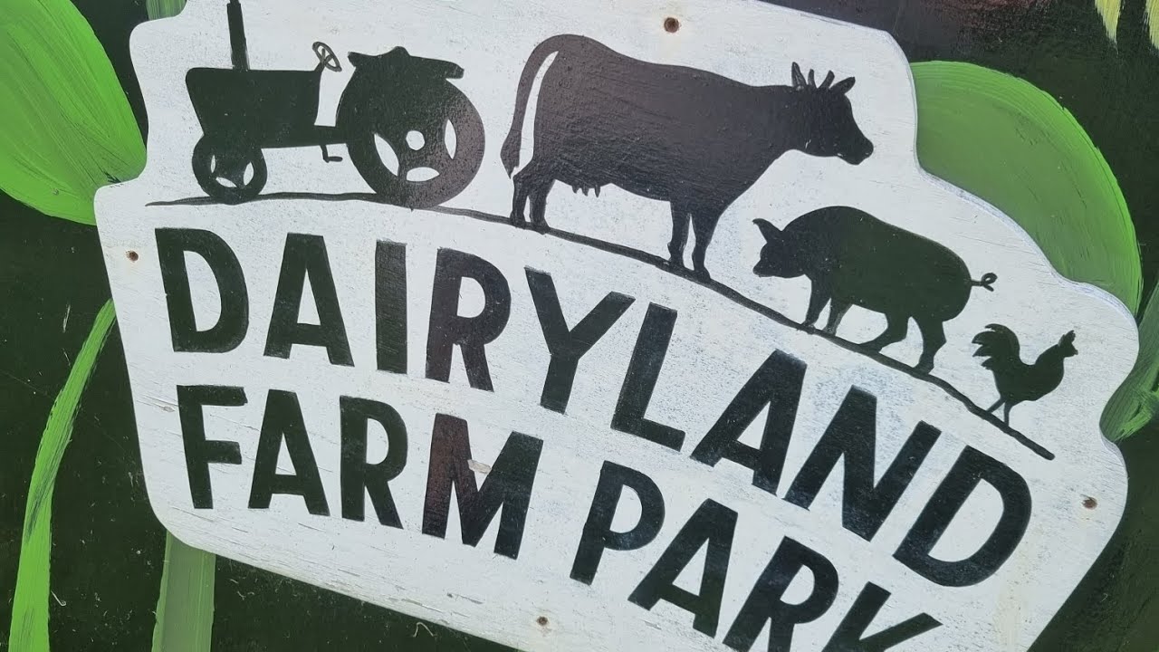 The Only Video You Need To Watch For Dairyland Farm Park Newquay.