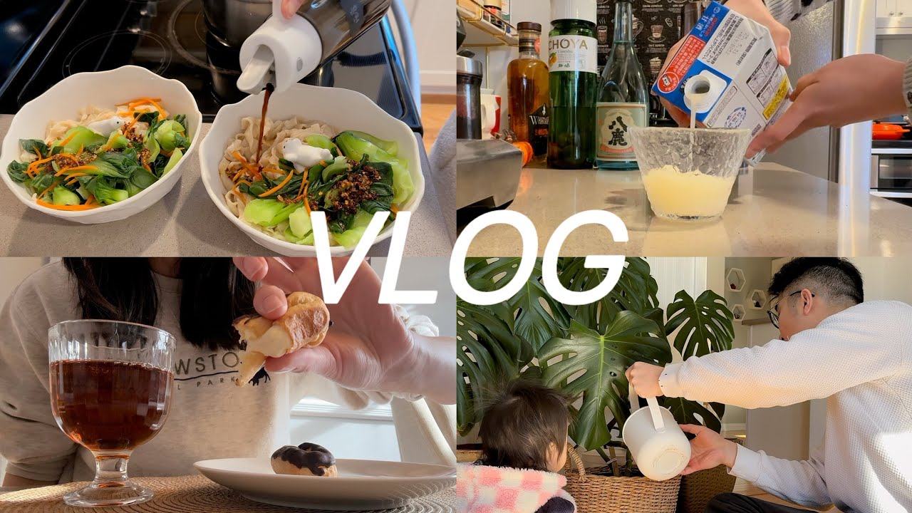 Vlog｜北美生活日记｜初春最后一场大雪｜油泼手擀面·百财水饺·关东煮｜休息日就喜欢宅在厨房｜NJ日超采购｜spring is coming
