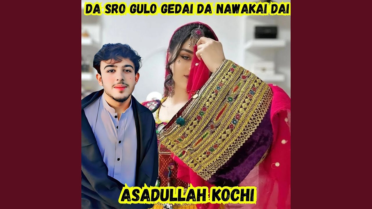 Da Sro Gulo Gedai Da Nawakai Dai