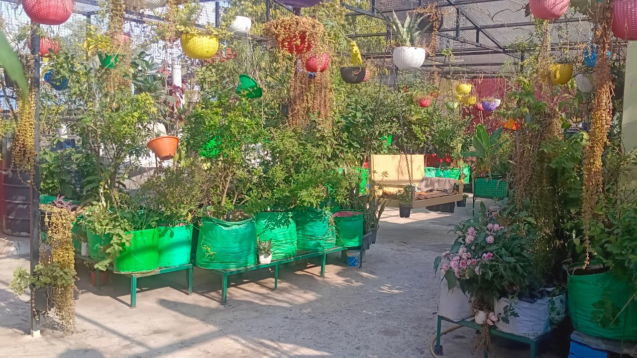 Green House Garden Kota is live!