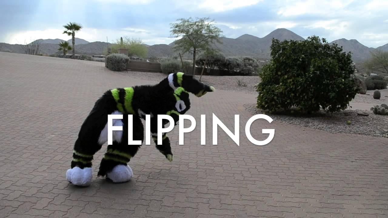 FURSUIT DANCE TUTORIAL