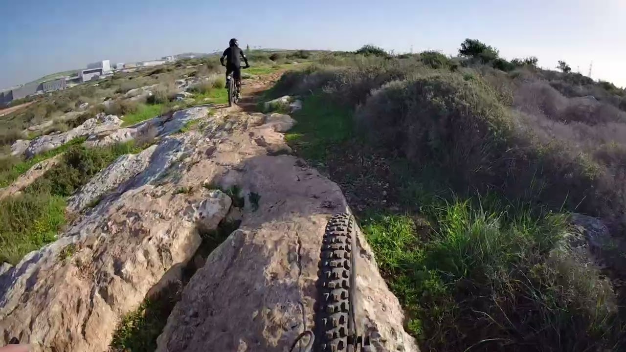 חדיד שוהם 7.2.26