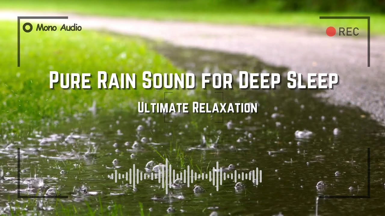 3 Hours of Raw Rain Sounds for Deep Sleep & Relaxation | No Music, Just Nature #youtubevideo