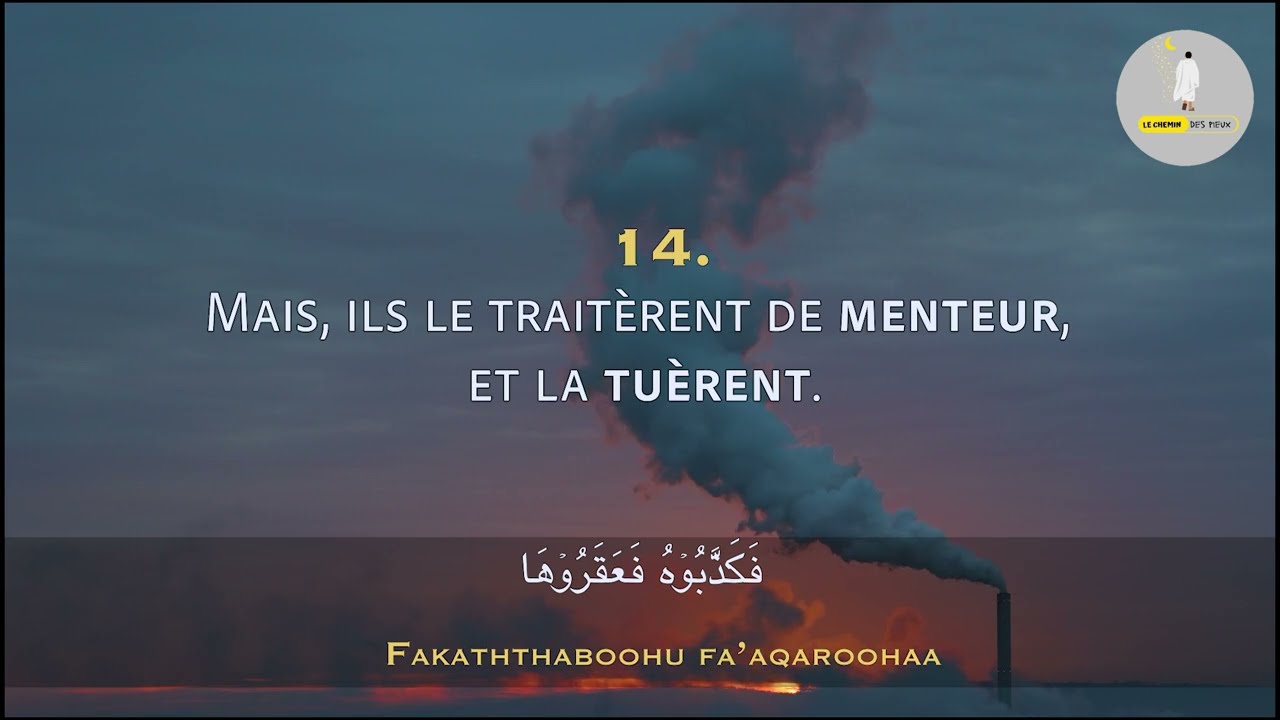 Sourate Ash Shams (Le Soleil)  10 fois | Salim Bahanan | Traduit En Français & En Phonétique | Quran