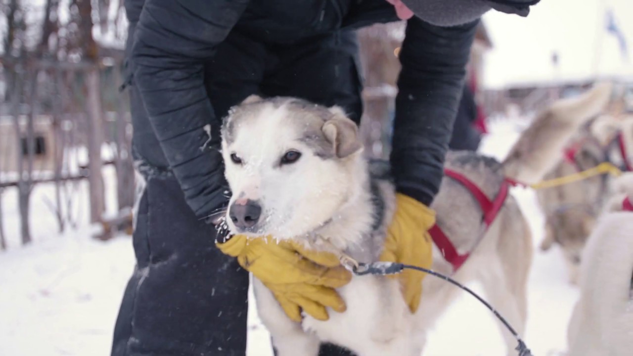 Classic Churchill Polar Bear Adventure