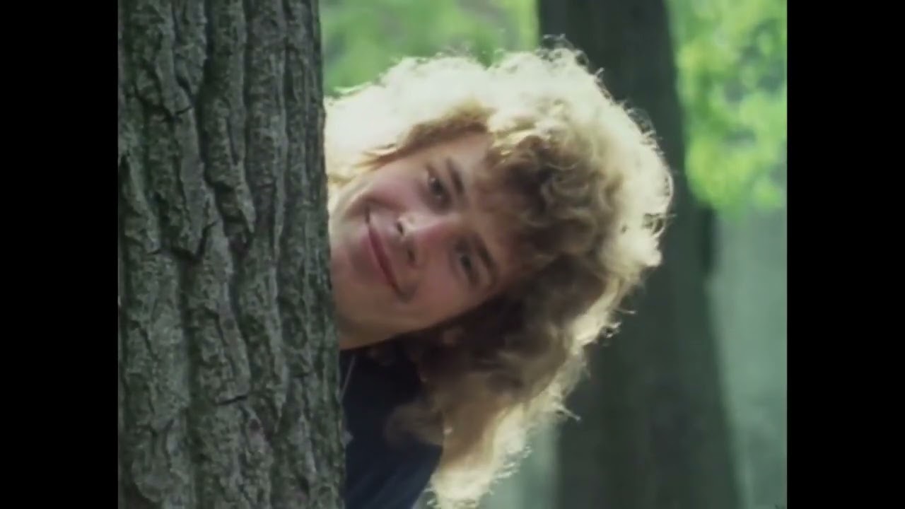 YES - Everydays