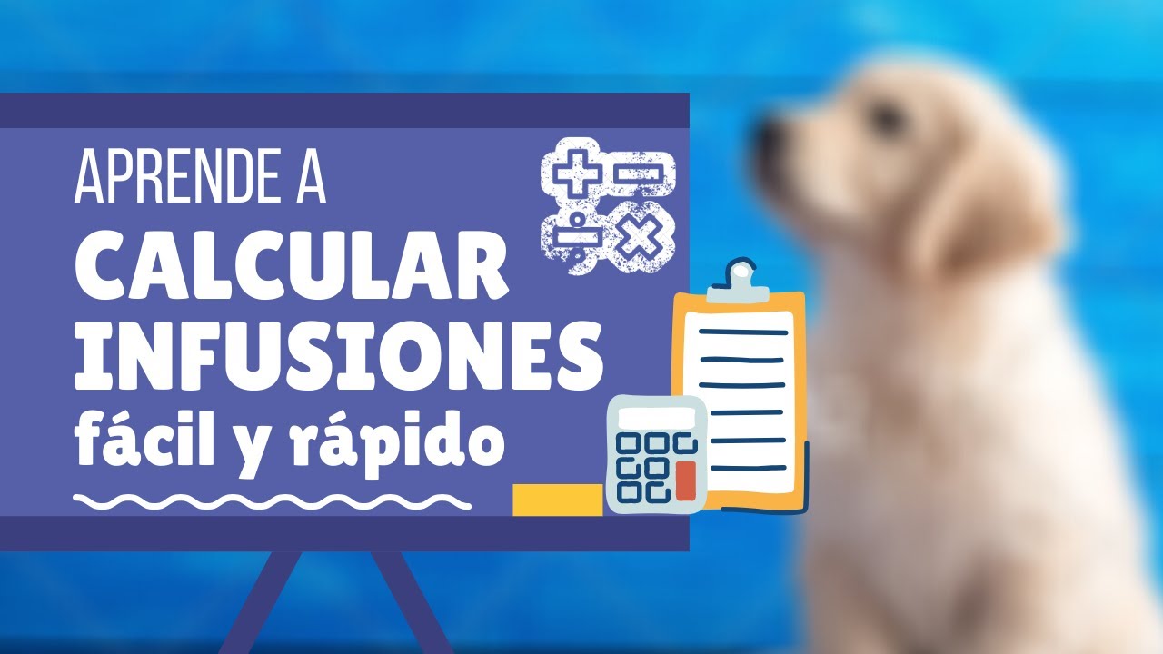 ¡¡INFUSION CONTINUA EN PERROS Y GATOS FACIL!!