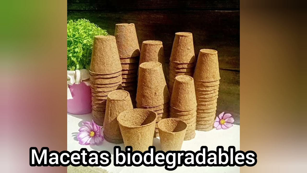 las hojas también se reciclan¡!