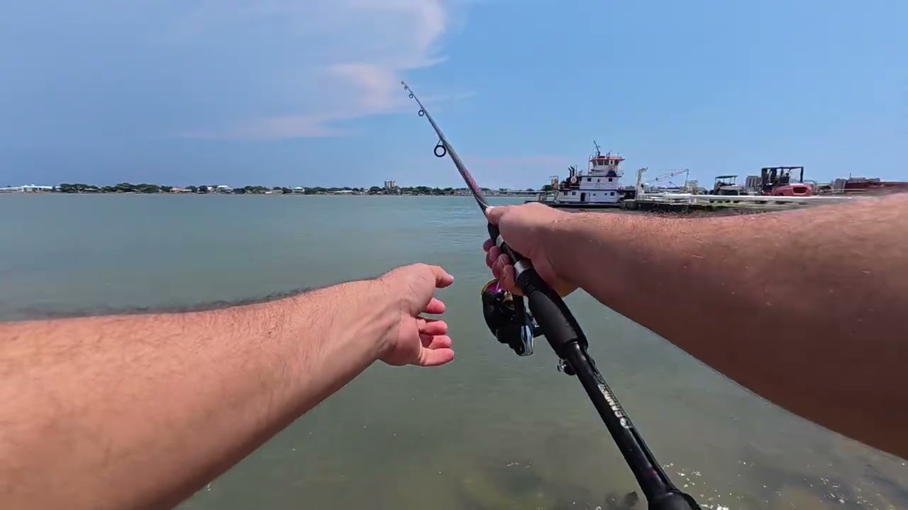 Insane flounder came up and missed him got back on and he hit hard!!!#flounderfishing 