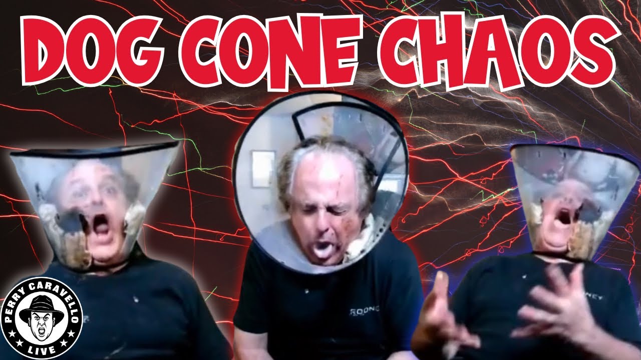 PCL Clips: Dog Cone Chaos