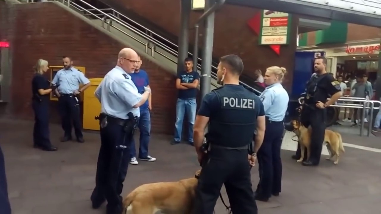 POLIZEI + POLIZEIHUNDE VS MIGRANTEN - Widerstand gegen Vollstreckungsbeamte