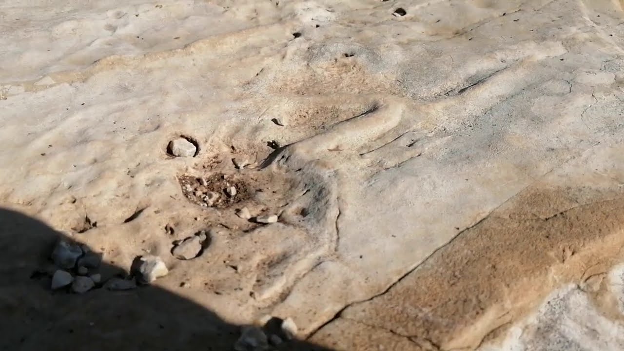 قبور صخريه ورانات واشاره جمل مع توجيه لاشاره جمل وبوابه شكلها جمل منطقه تكنيزيه مهمه جدا