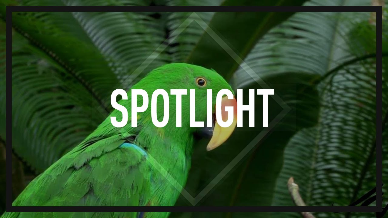 *SOLD* Bruno Mars x Calvin Harris type beat 
