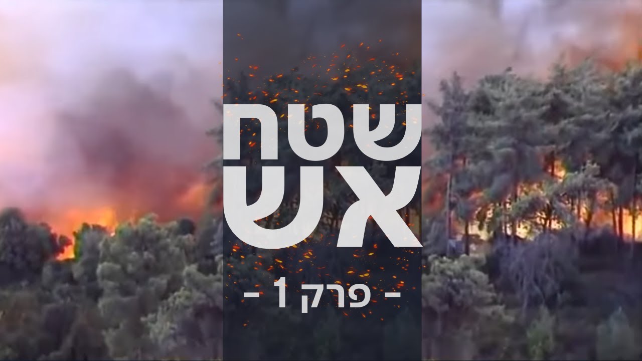 בחזרה לעיקול המוות: לוחמי האש שסיכנו את חייהם באסון הכרמל