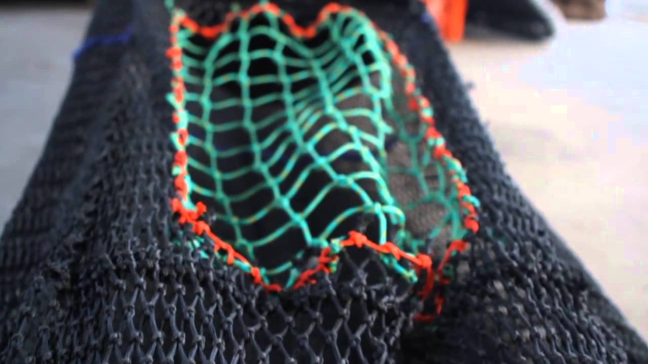 Neville the Net Maker HD