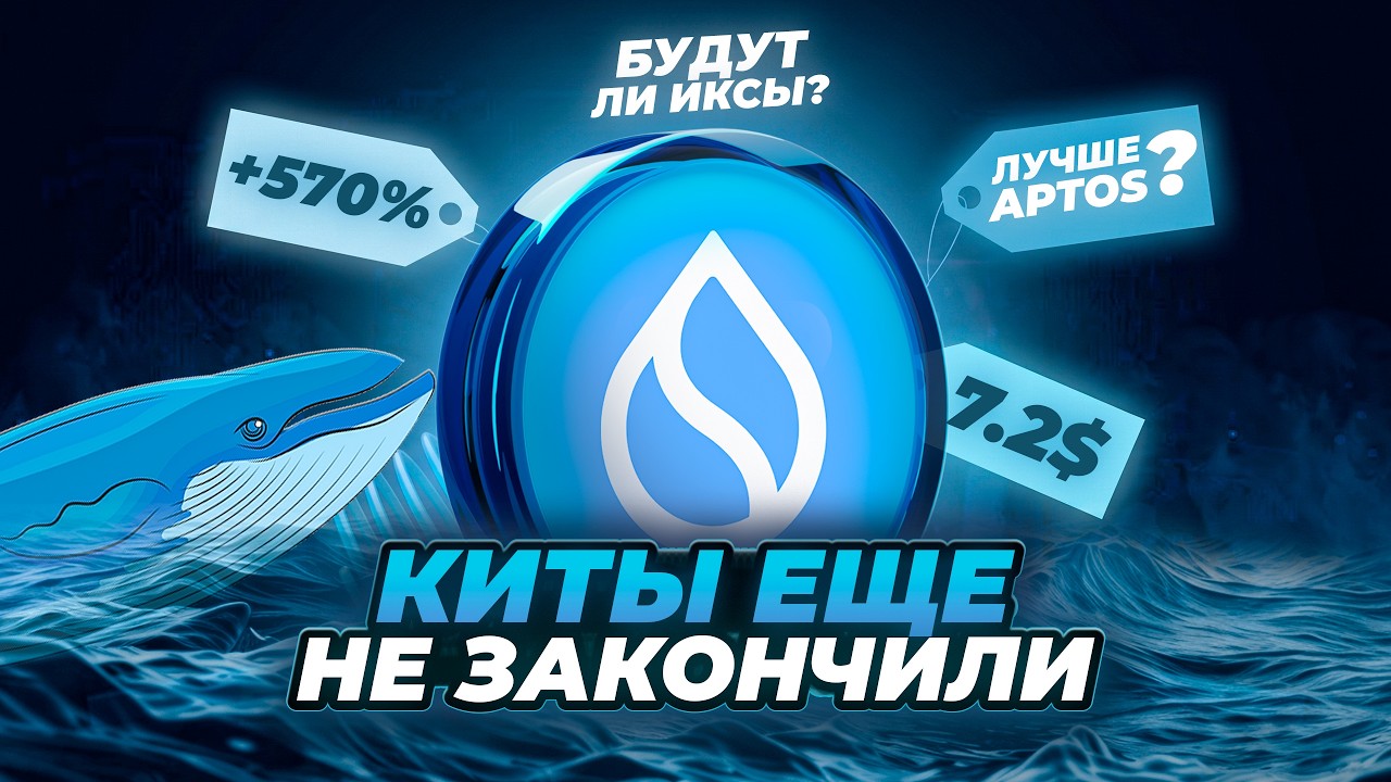 SUI - КИТЫ ЕЩЁ НЕ ЗАКОНЧИЛИ. Будут ли иксы? Честный разбор
