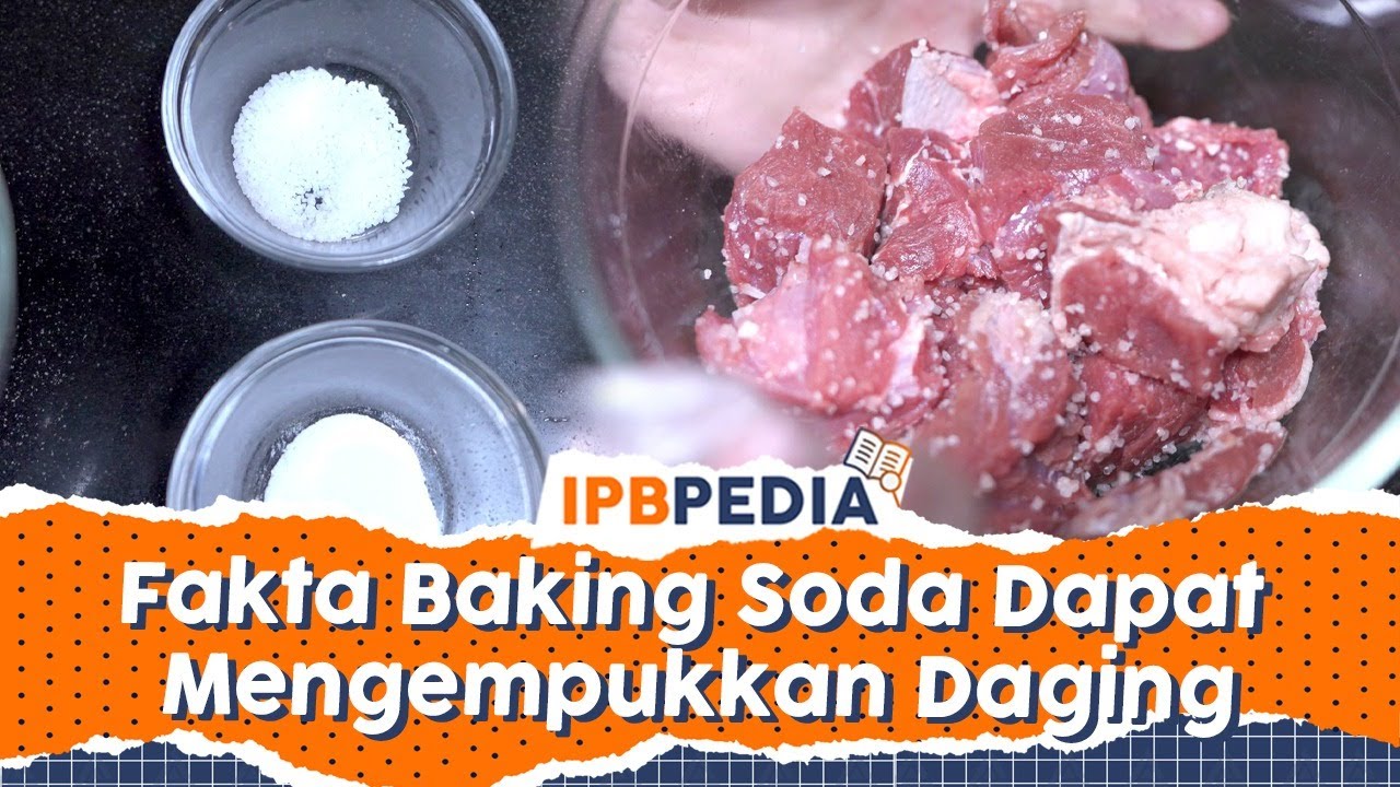 IPB Pedia: Amankah Mengempukkan Daging dengan Menggunakan Baking Soda?