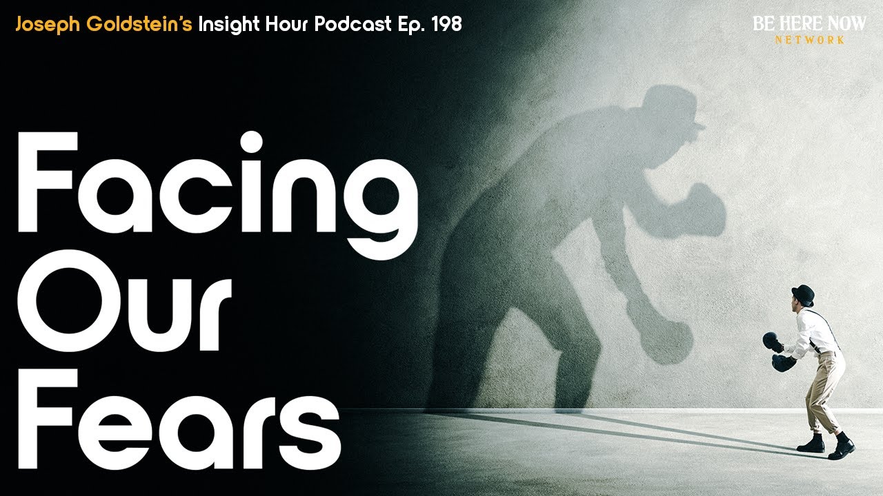 Joseph Goldstein on Facing Our Fears – Insight Hour Podcast Ep. 197
