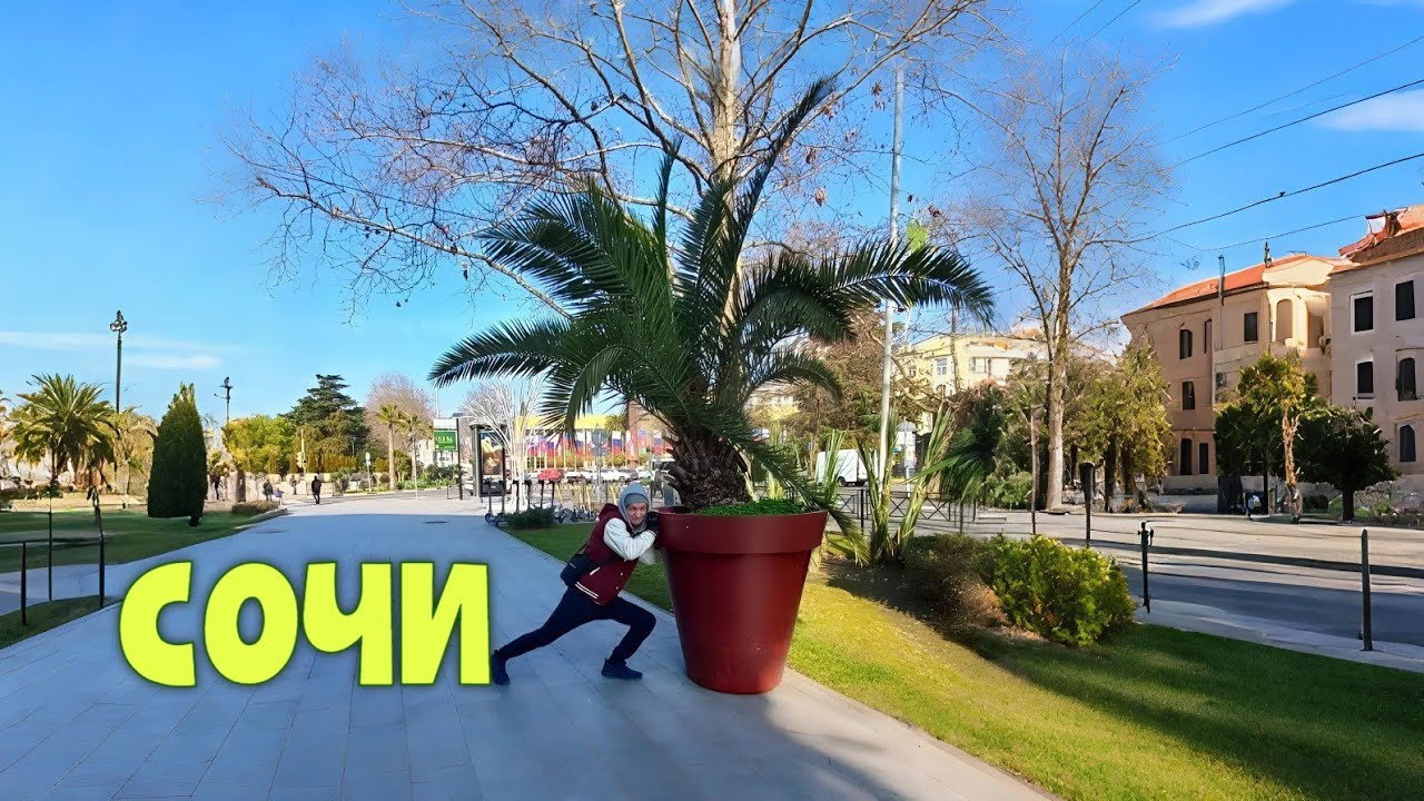 Зимняя прогулка в Сочи / 2k видео, живой звук🔊