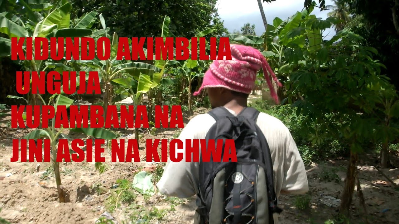 KIDUNDO APAMBANA NA JINI ASIE NA KICHWA