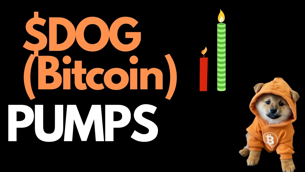 Dog набирает обороты, рост более 17% за последние 24 часа #dogbitcoin #memecoins