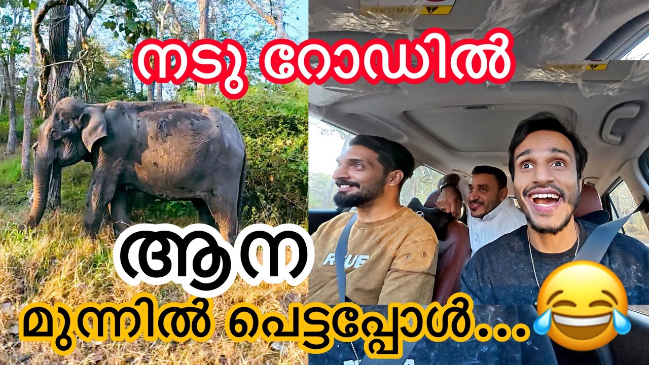 ആന മുന്നിൽ പെട്ടപ്പോൾ...😂✌️| Ashraf kannur | Life style