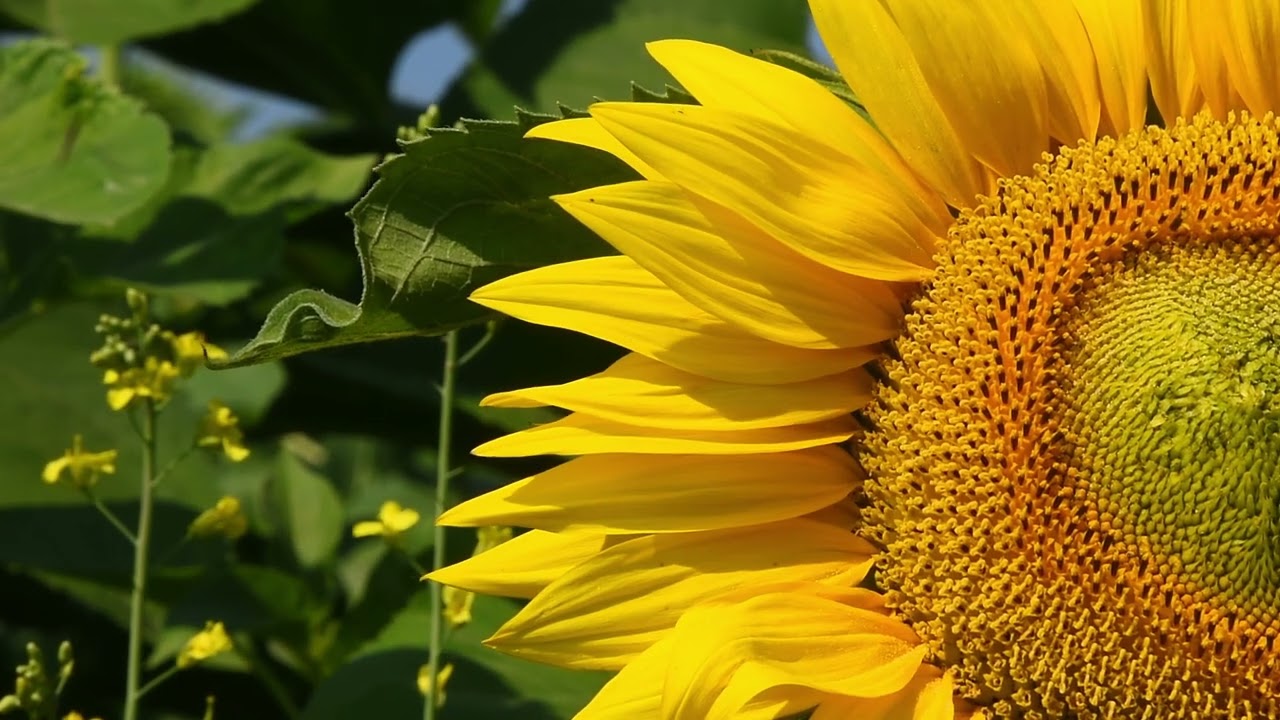 Outshine The Sun - A heartfelt ballad about finding beauty right in front of you