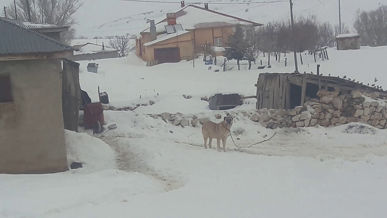 10 Şubat 2019(2)