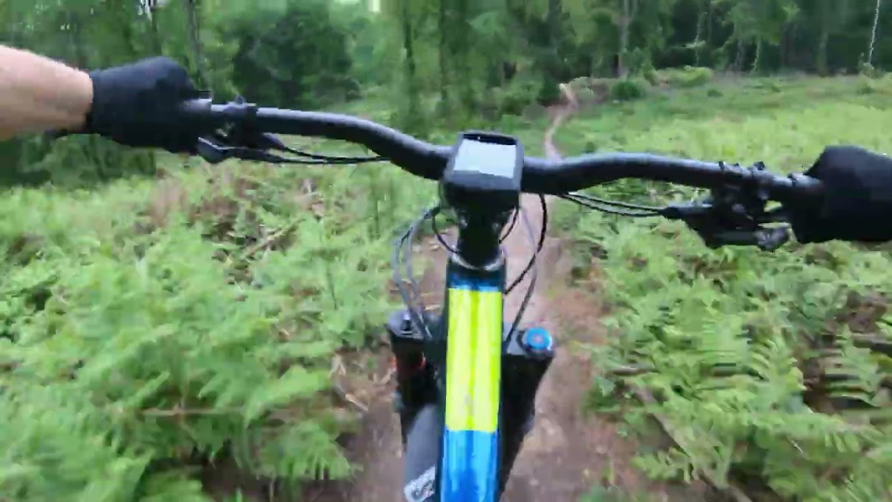 R'Wald Enduro MTB
