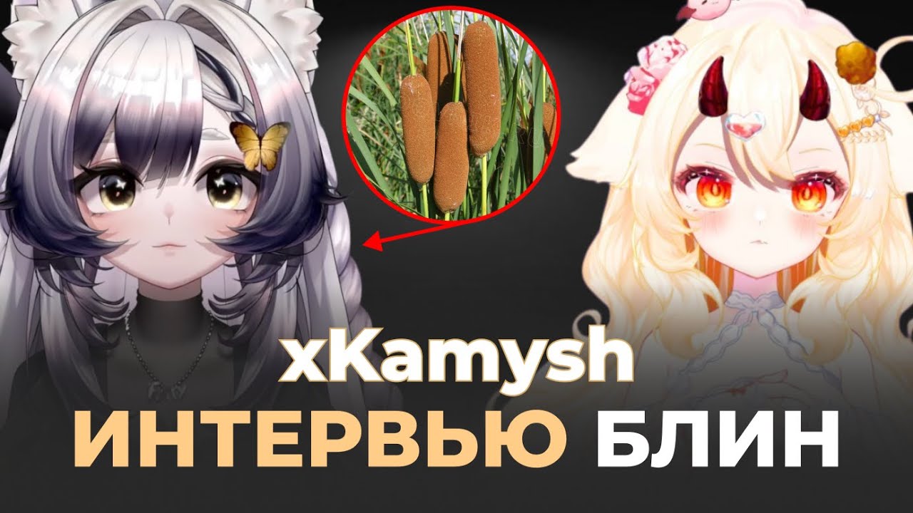 Интервью с КАМЫШ / Vtuber блинчик / нарезка со стрима
