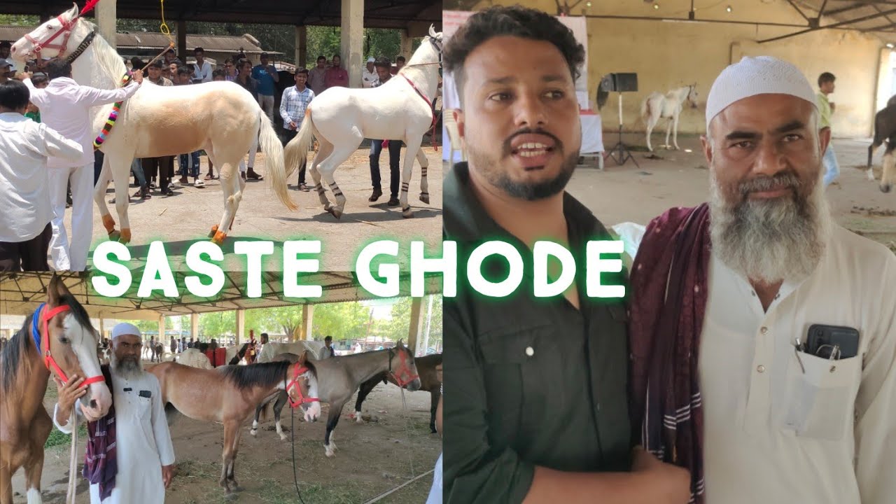 Aurangabad horse market | Aurangabad chauni ghoda bazar | saste ghode ka bazar in Aurangabad