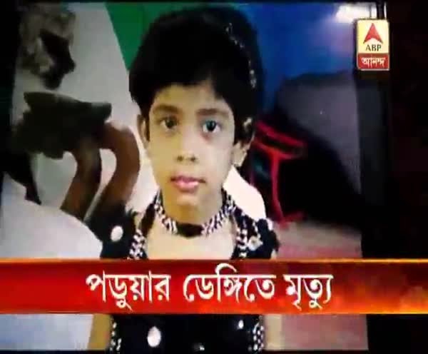 2 students from Bharatiya Vidya Bhavan died because of Dengue attack