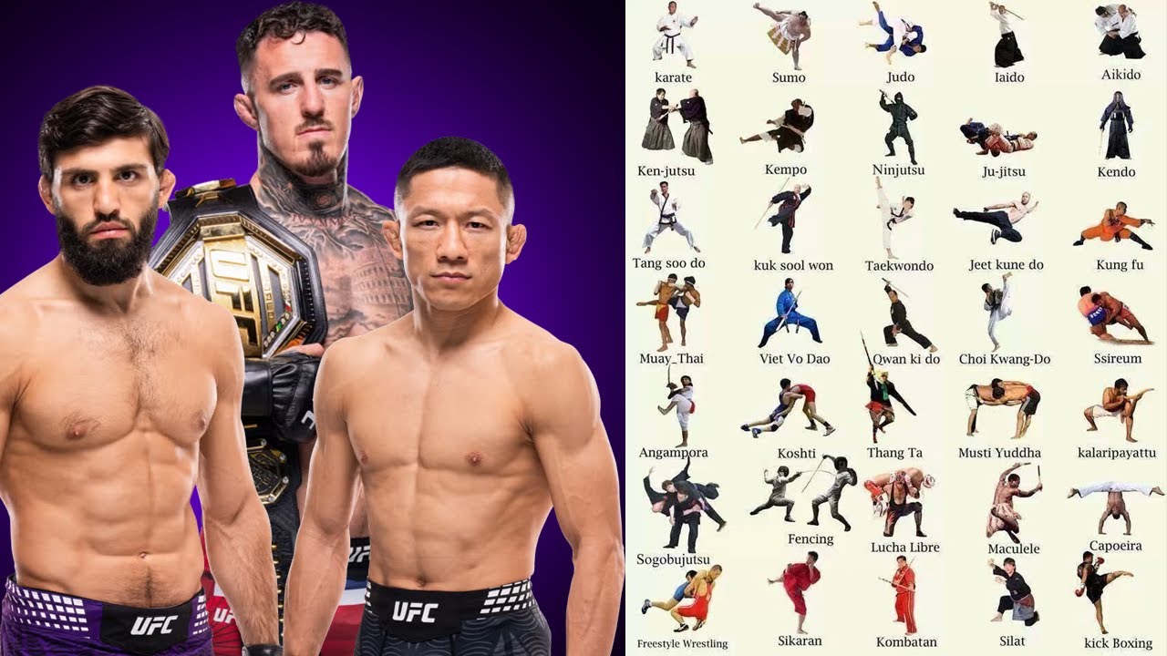 What if Every UFC Divison Competed in Every Martial Art