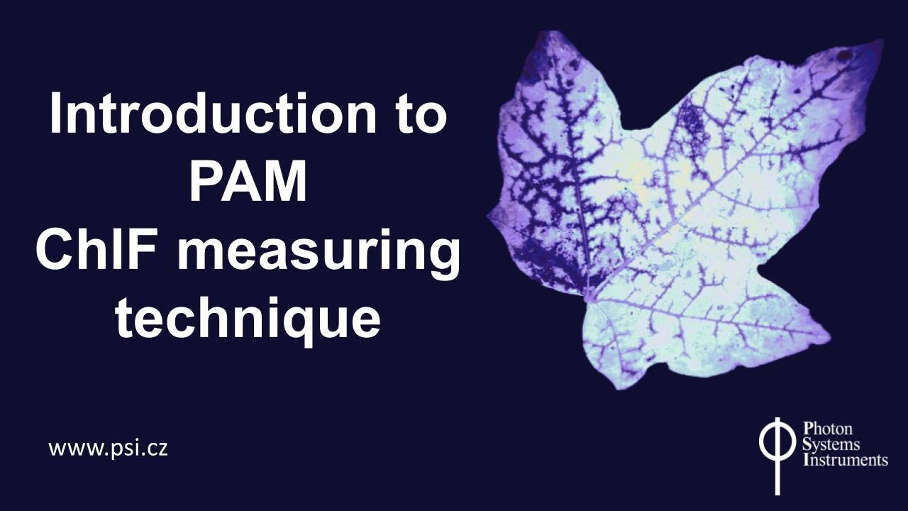 Introduction to PAM Chlorophyll Fluorescence measuring technique (Part 3 of 3)